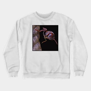 Wasp - rather angry. Crewneck Sweatshirt